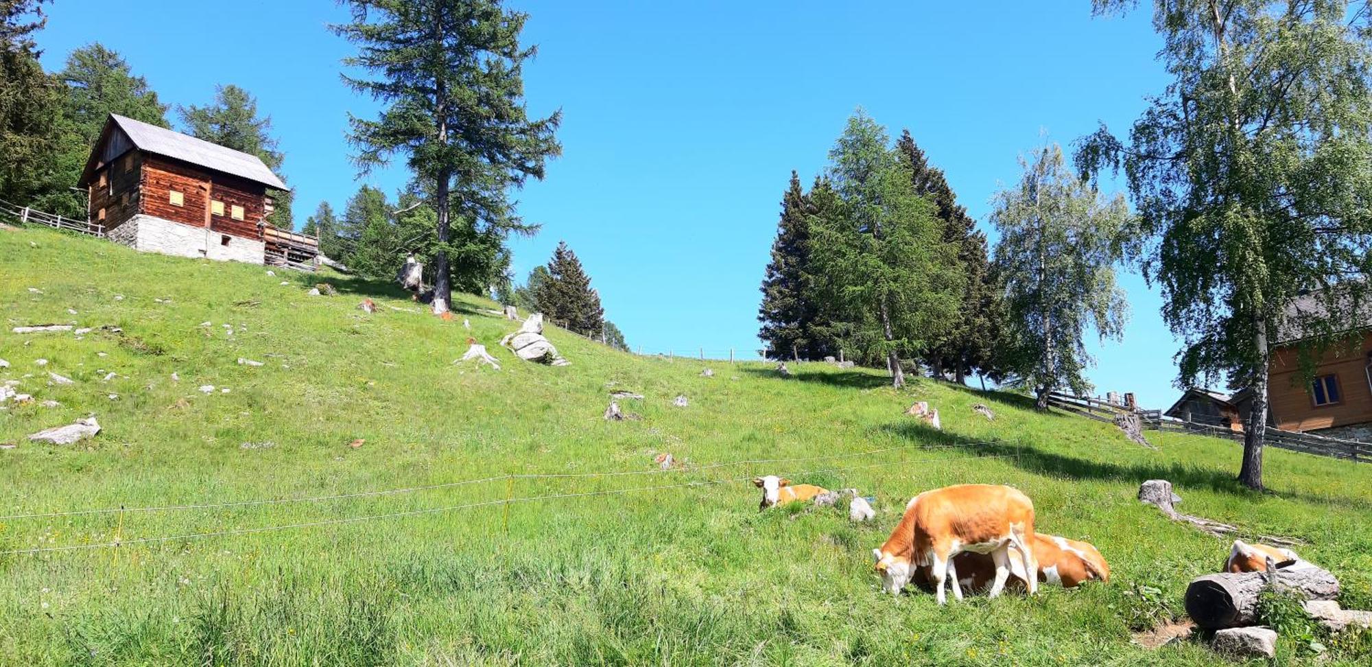 Panoramapension Platzer Unterkolbnitz エクステリア 写真