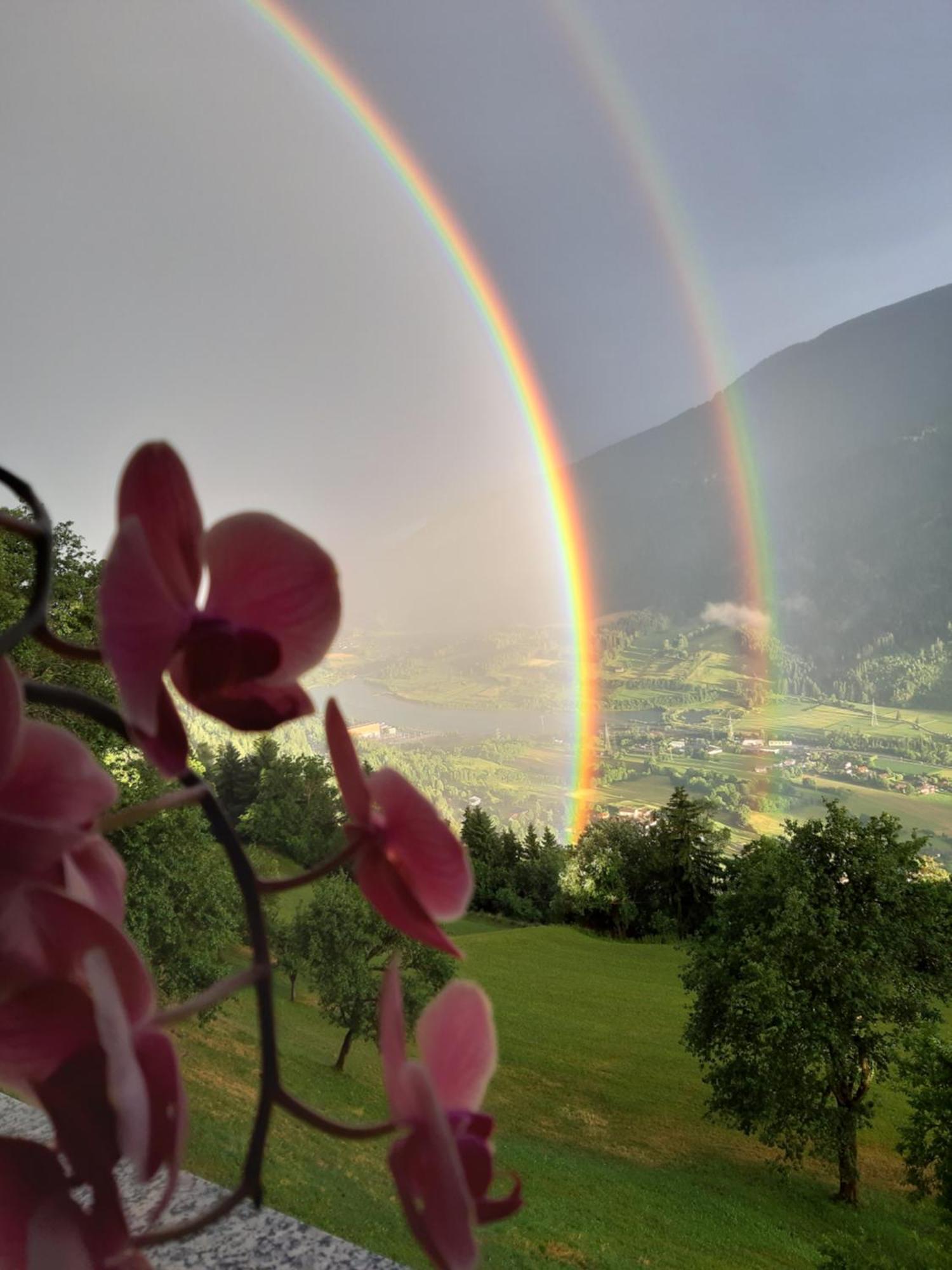 Panoramapension Platzer Unterkolbnitz エクステリア 写真