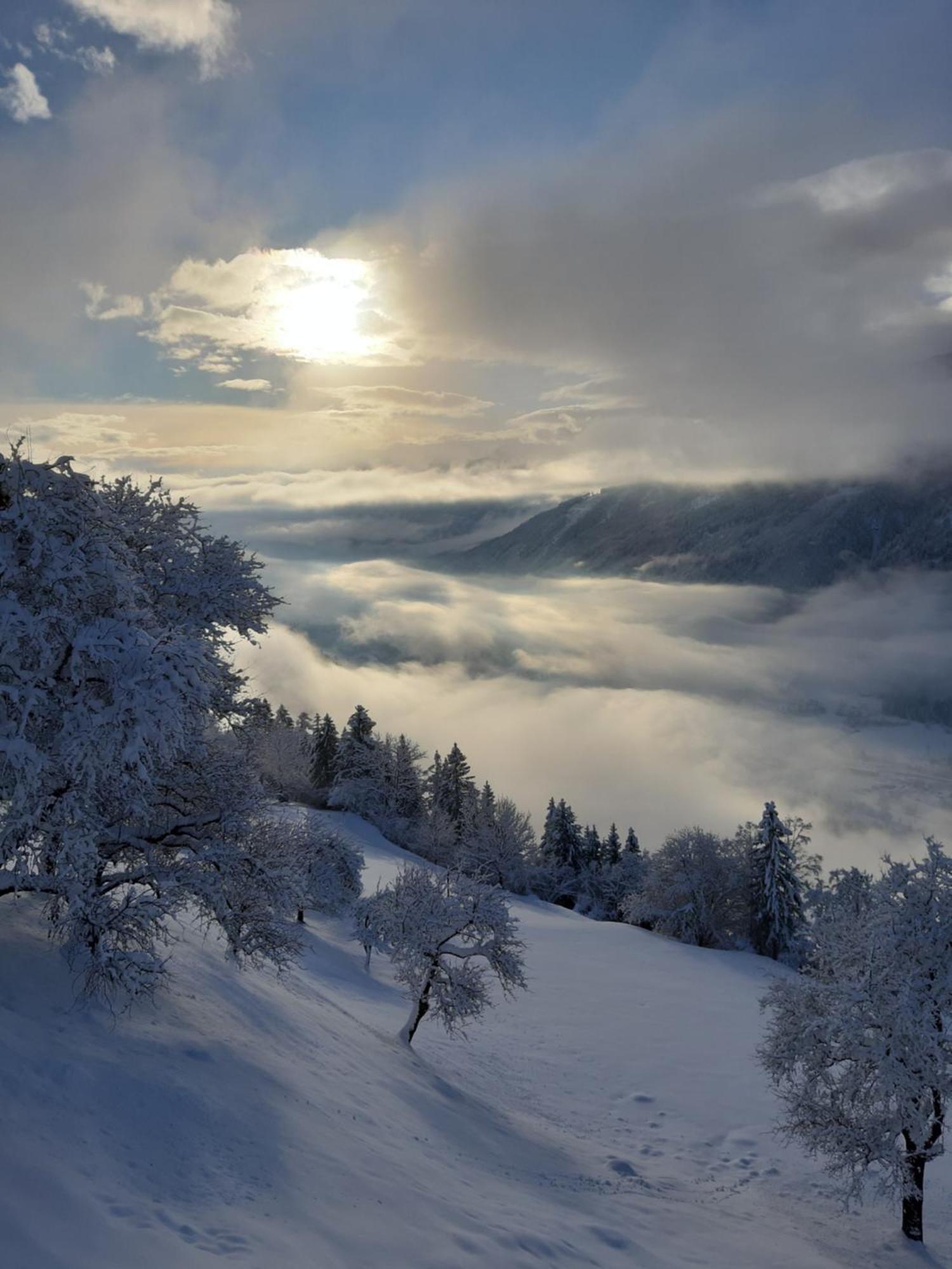 Panoramapension Platzer Unterkolbnitz エクステリア 写真